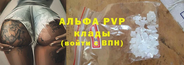 гашик Баксан